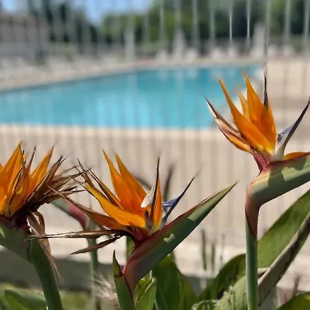 Appartamento 15 - Les De Robinson - Avec Piscine En Bord De Siagne, A Mandelieu